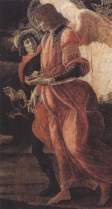 Trinity with Mary Magdalene,St john the Baptist,Tobias  and the Angel (mk36), Sandro Botticelli